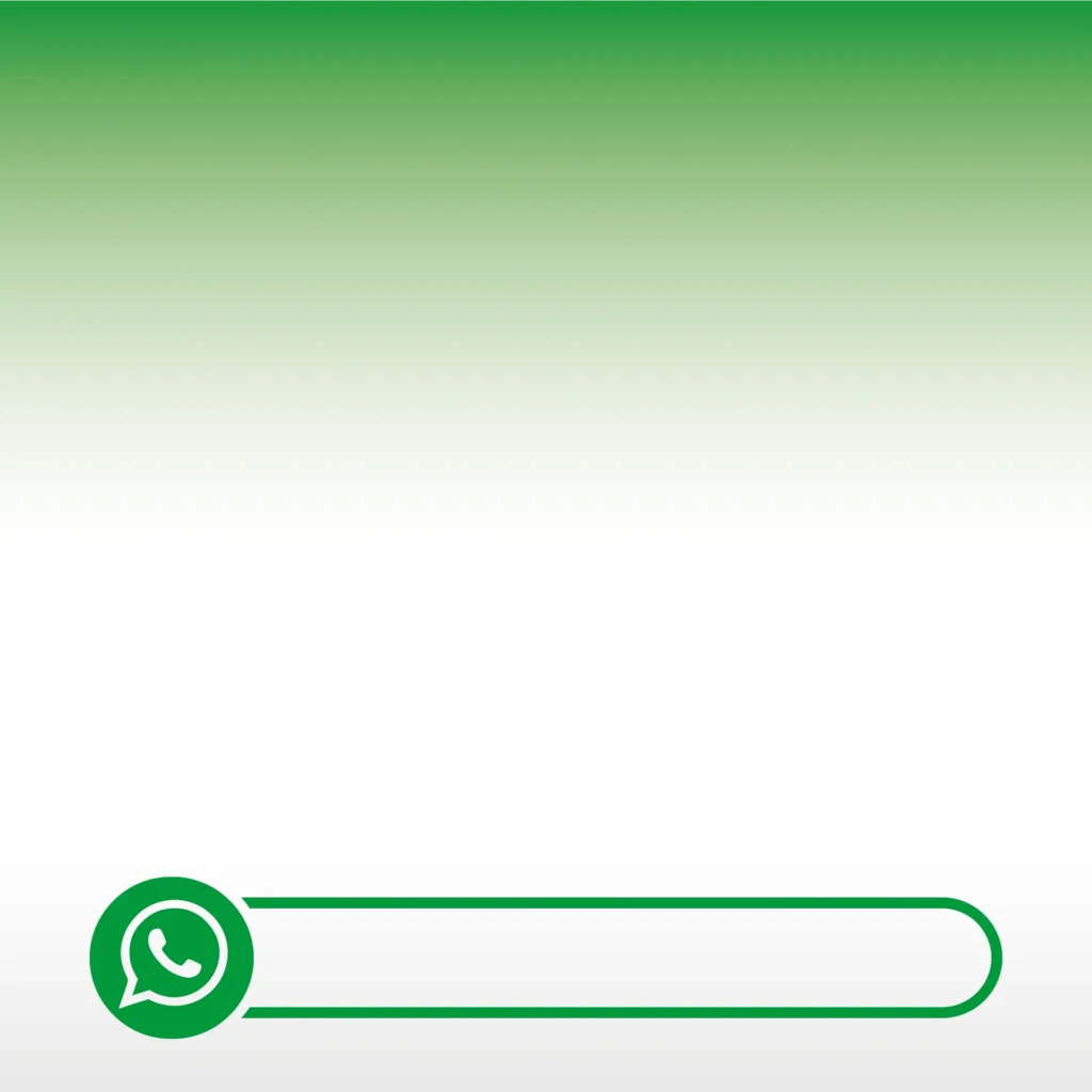 WhatsApp Business Account Setup & Optimisation