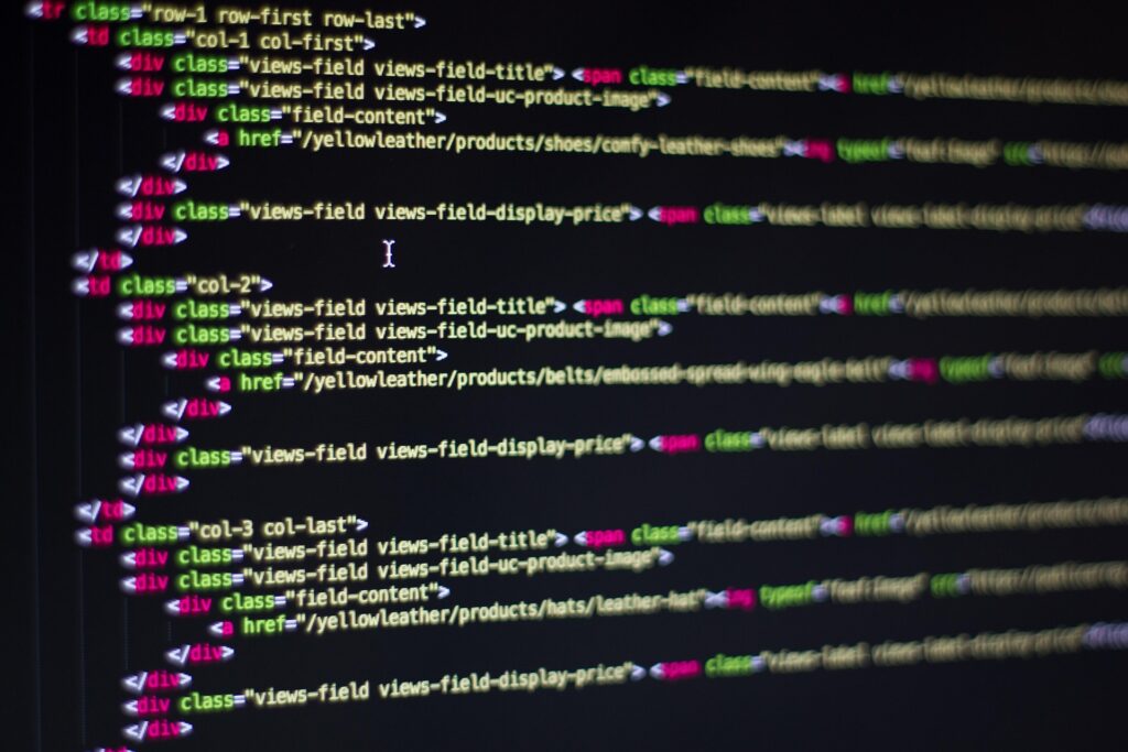 Ecommerce Website Development